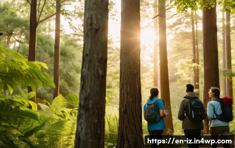 생태 심리학과 환경 문제 인식 - A serene forest scene at golden hour with a diverse group of people engaged in mindful walking and o...